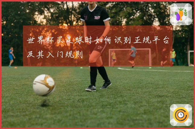世界杯买足球时如何识别正规平台及其入门规则
