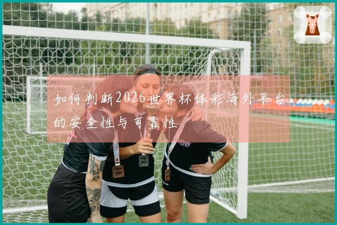 如何判断2026世界杯体彩海外平台的安全性与可靠性