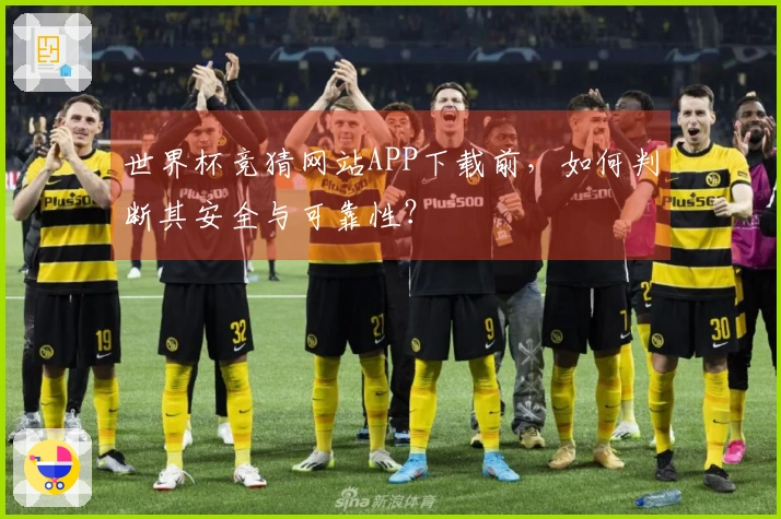 世界杯竞猜网站APP下载前,如何判断其安全与可靠性?