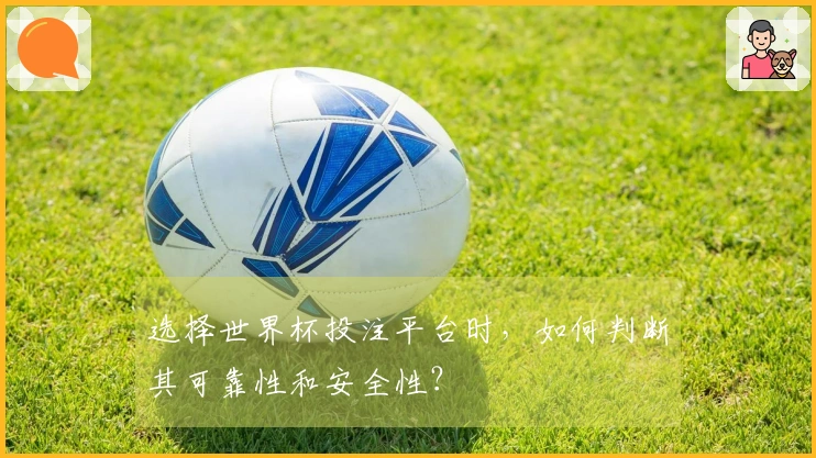 选择世界杯投注平台时，如何判断其可靠性和安全性？