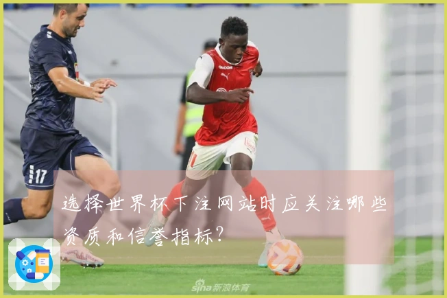 选择世界杯下注网站时应关注哪些资质和信誉指标?