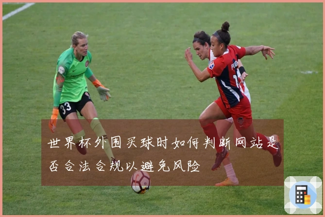 世界杯外围买球时如何判断网站是否合法合规以避免风险