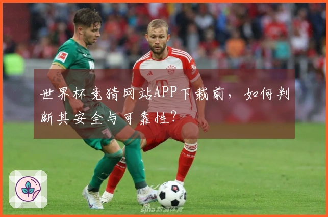 世界杯竞猜网站APP下载前，如何判断其安全与可靠性？