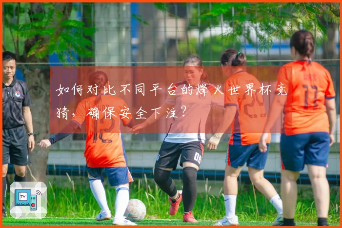 如何对比不同平台的烽火世界杯竞猜，确保安全下注？