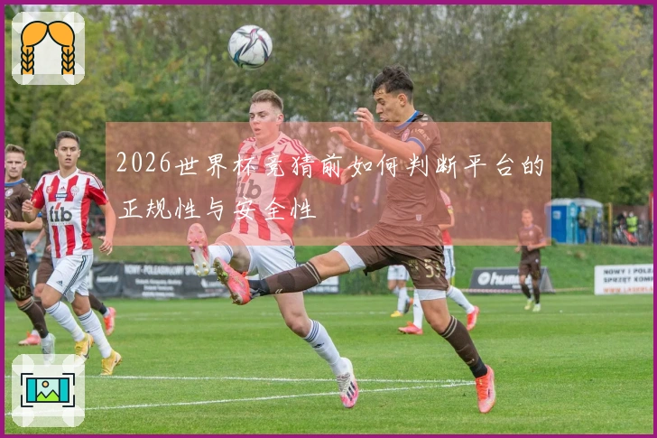 2026世界杯竞猜前如何判断平台的正规性与安全性