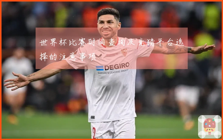 世界杯比赛时间查询及竞猜平台选择的注意事项