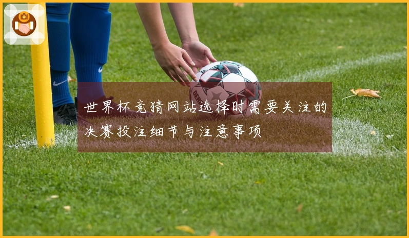 世界杯竞猜网站选择时需要关注的决赛投注细节与注意事项