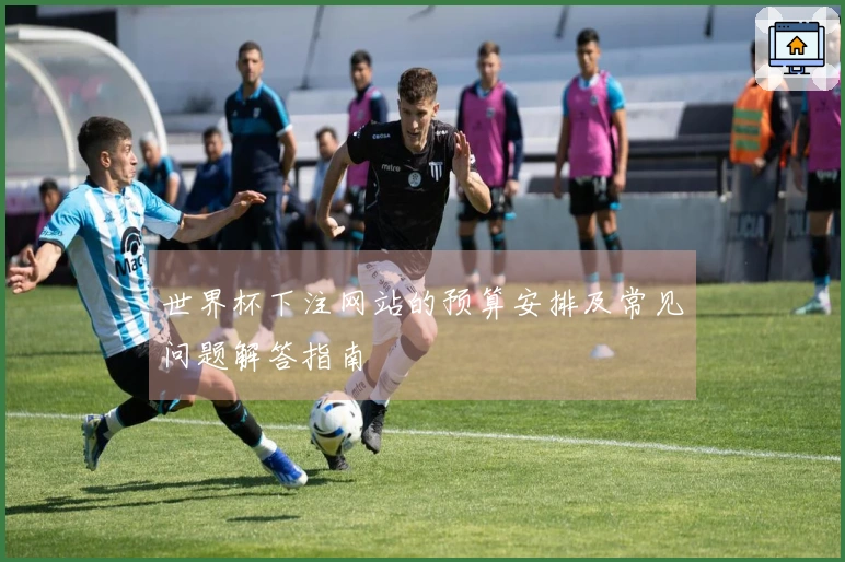 世界杯下注网站的预算安排及常见问题解答指南
