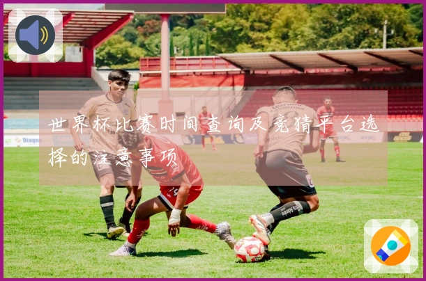世界杯比赛时间查询及竞猜平台选择的注意事项