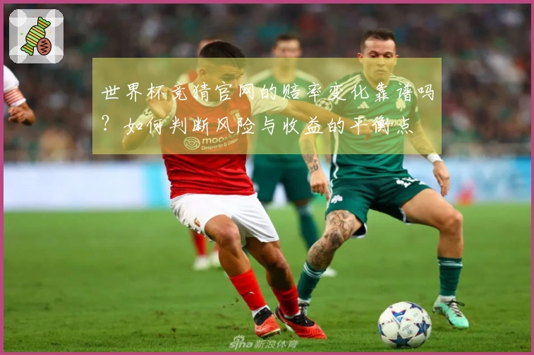 世界杯竞猜官网的赔率变化靠谱吗？如何判断风险与收益的平衡点