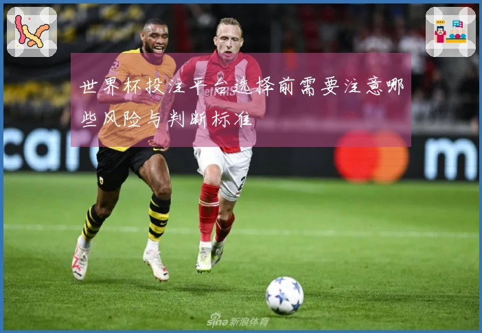 世界杯投注平台选择前需要注意哪些风险与判断标准
