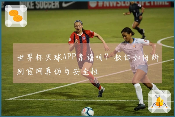 世界杯买球APP靠谱吗?教你如何辨别官网真伪与安全性