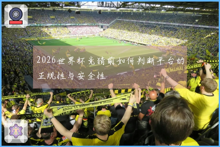 2026世界杯竞猜前如何判断平台的正规性与安全性