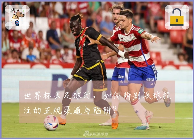 世界杯买足球时,如何辨别滚球投注的正规渠道与陷阱?