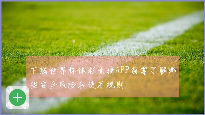 下载世界杯体彩竞猜APP前需了解哪些安全风险和使用规则