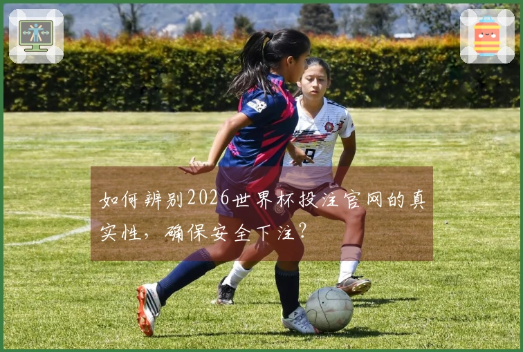 如何辨别2026世界杯投注官网的真实性，确保安全下注？