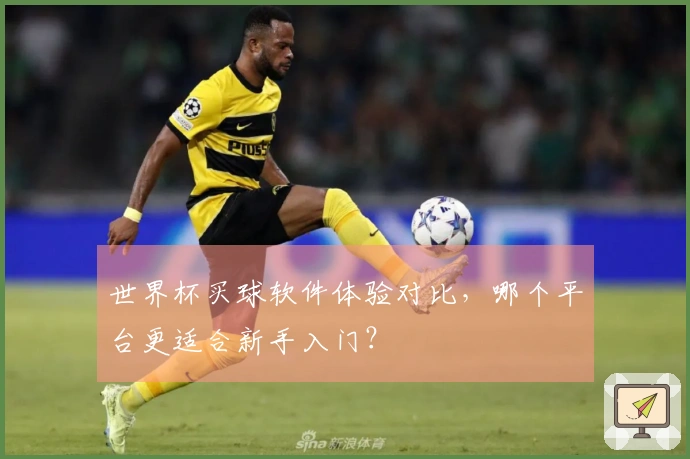 世界杯买球软件体验对比,哪个平台更适合新手入门?