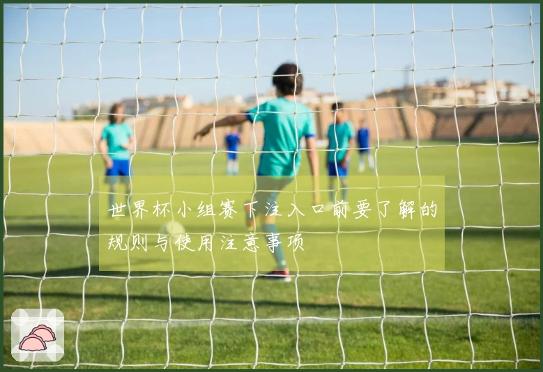 世界杯小组赛下注入口前要了解的规则与使用注意事项
