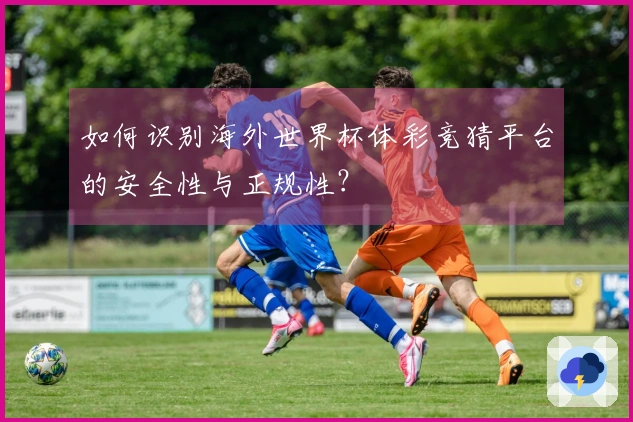如何识别海外世界杯体彩竞猜平台的安全性与正规性?