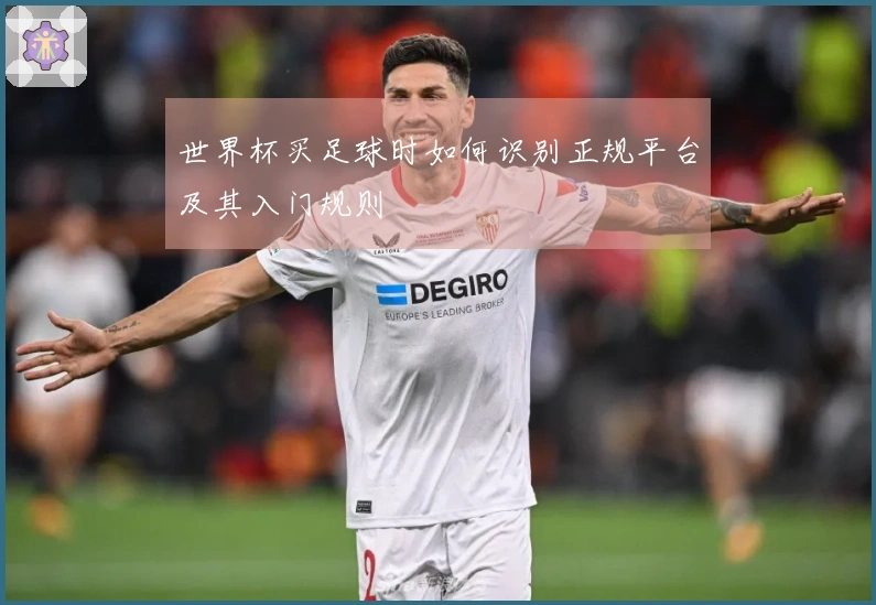 世界杯买足球时如何识别正规平台及其入门规则