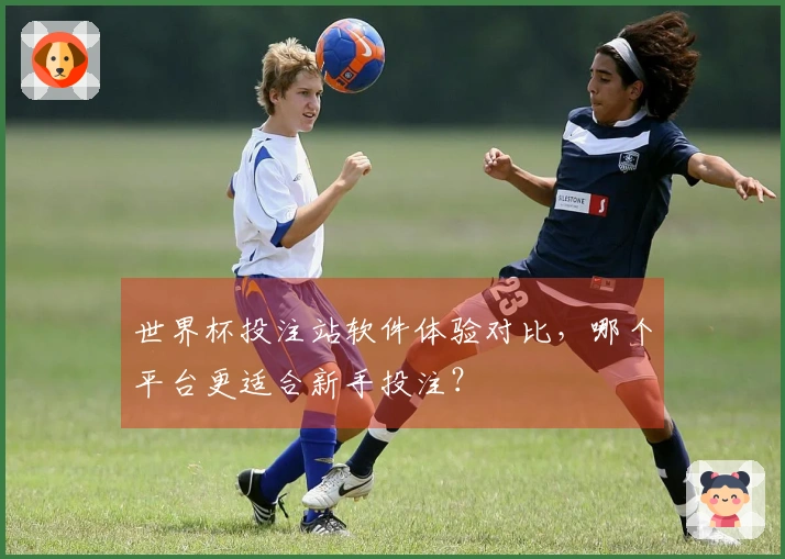 世界杯投注站软件体验对比,哪个平台更适合新手投注?